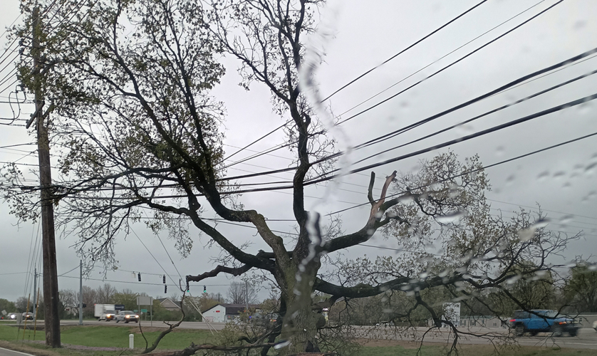 Storm Damage in Hillview