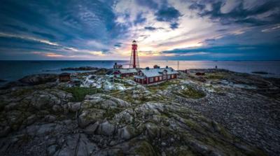 sweden island 1-10-21 fox.JPG