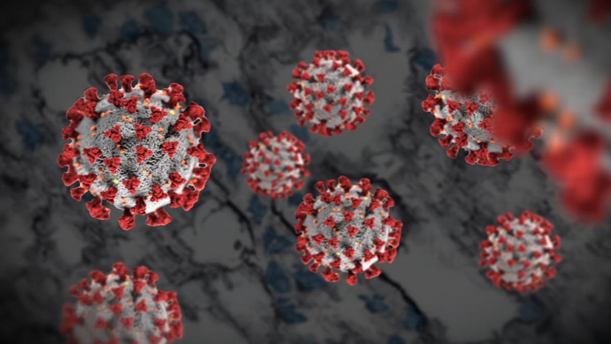 Map What Zip Codes Have Highest Coronavirus Numbers In Louisville News Wdrb Com