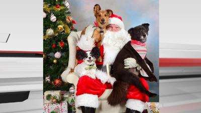 Picture Your Pets With Santa And Support Local Animal Charities