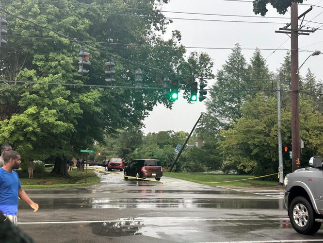 DOWNED TREE IN ST MATTHEWS AREA 2.jpg