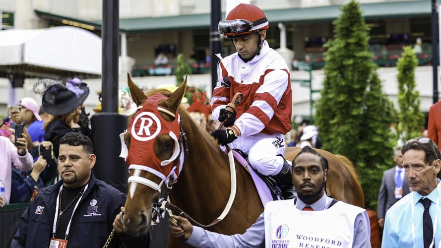 Rich Strike in paddock