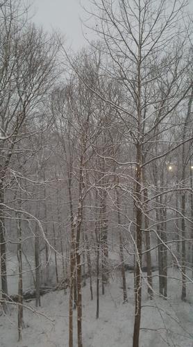 Snow in Crestwood-KY-1-27-21.jpg