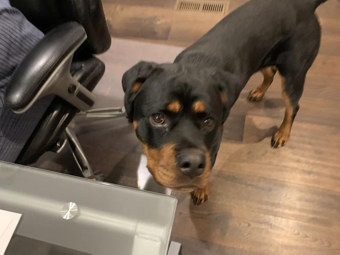 VIRUS -HOME OFFICE - WORKING REMOTE - KEITH KAISER 3-16-2020 (2).jpeg