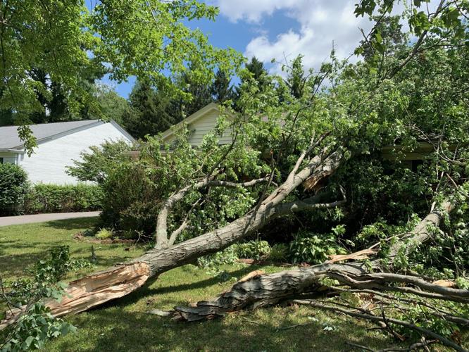 STORM DAMAGE - Murray Pike Hill - 6-26-2023 5.jpg