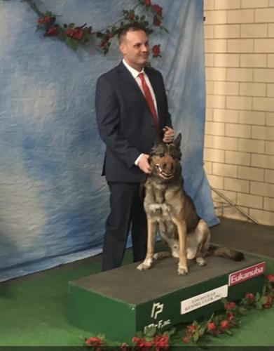Willie with  original LMPD handler, Bryan Luckett