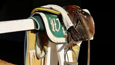 D. Wayne Lukas saddle
