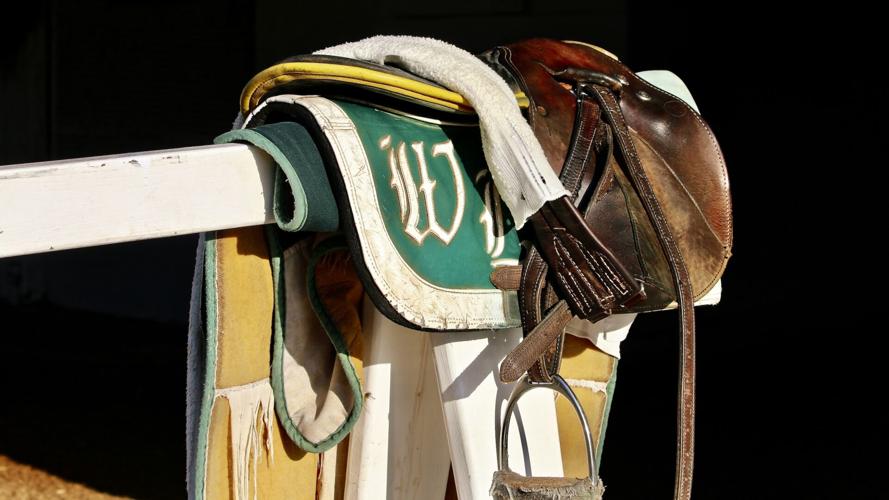 D. Wayne Lukas saddle