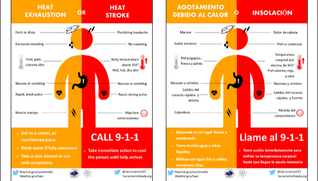 heat illness.PNG