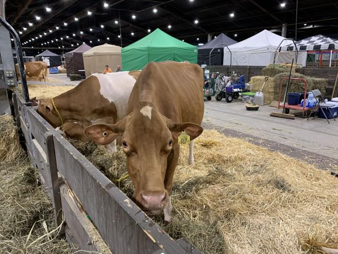 1st Day of Kentucky State Fair