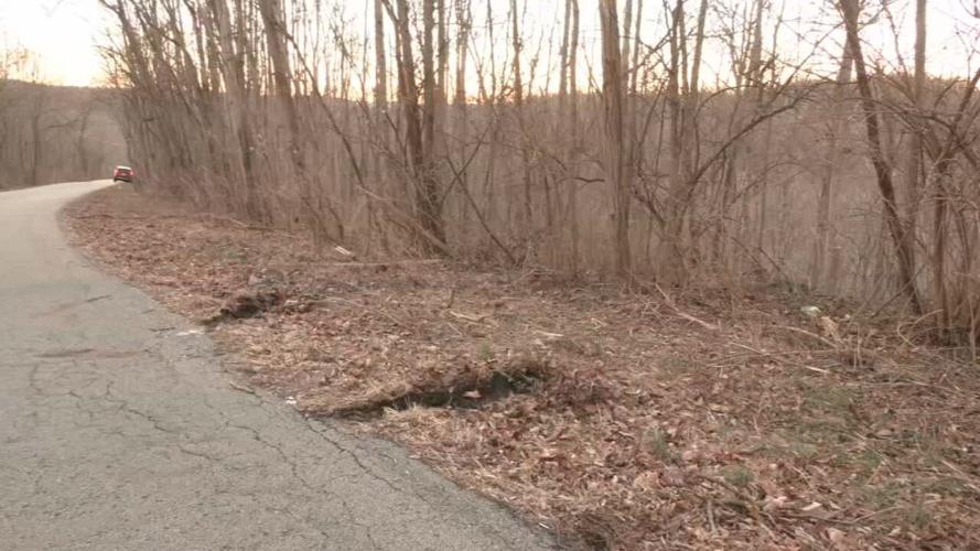 Detectives say the body of a 4-year-old was discovered in a wooded area near the 1300 block of Skyview Road