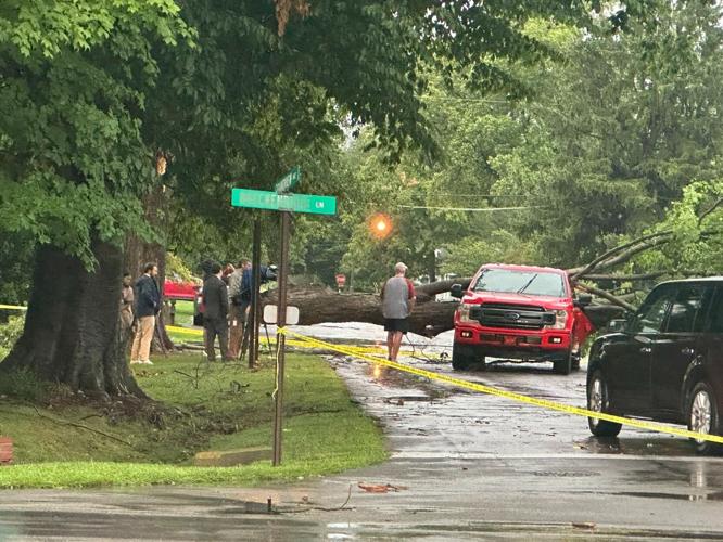 DOWNED TREE IN ST MATTHEWS AREA.jpg