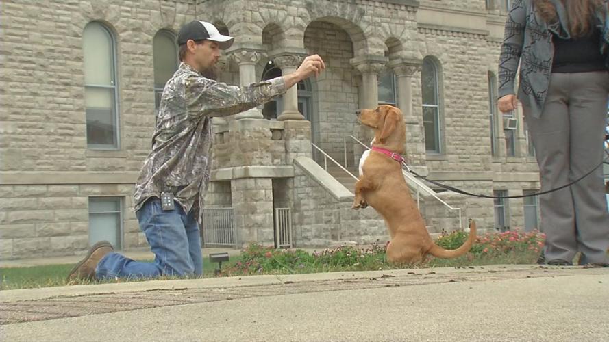 Southern Indiana basset hound spreads joy around country