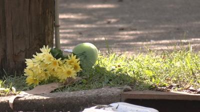 flowers placed at bus stop