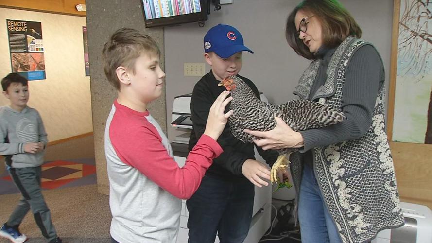 NAFC LIBRARY UPGRADES 5pLLV.transfer_frame_811 Bird.jpg