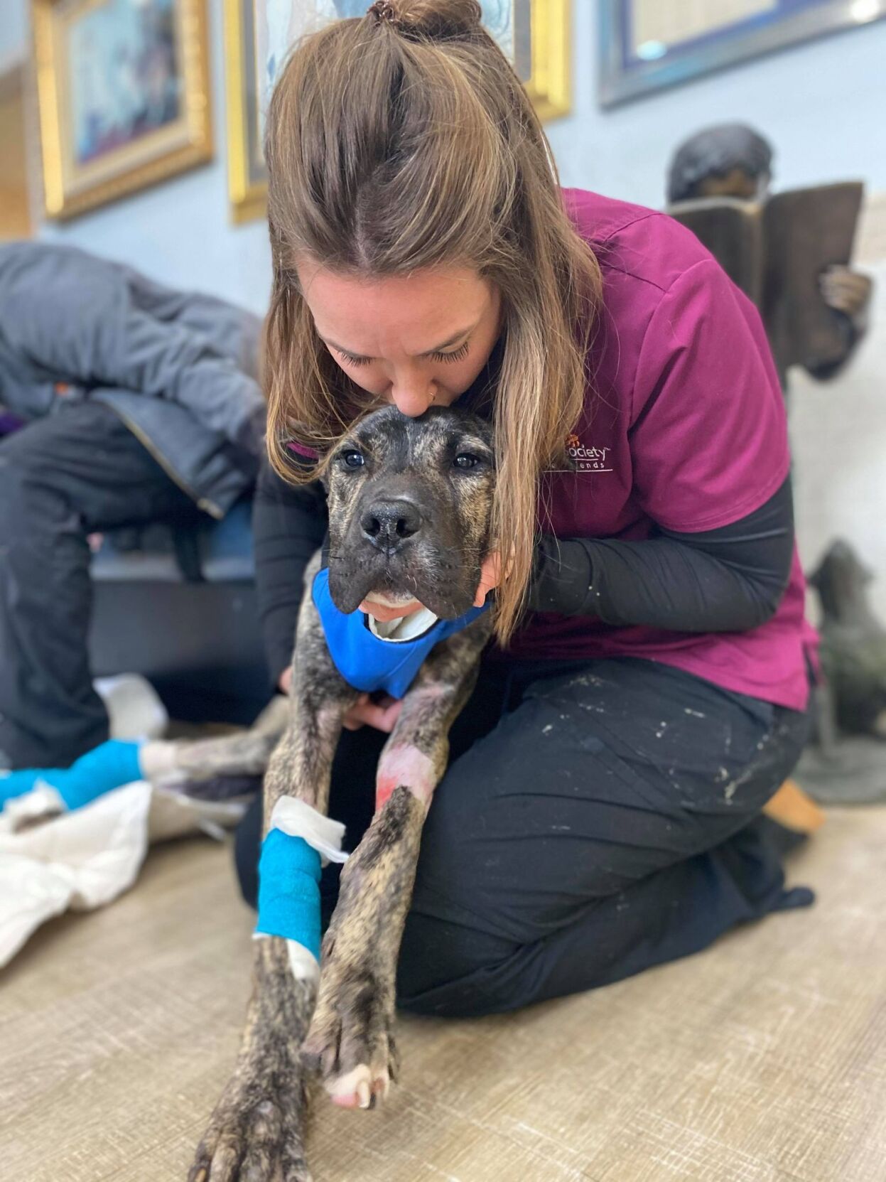 KY HUMANE - ETHAN RECOVERING  - 2-4-2021 3.jpg