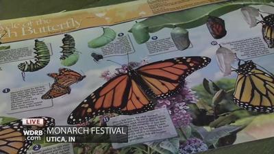 A festival in Utica celebrates the migration of the Monarch Butterfly