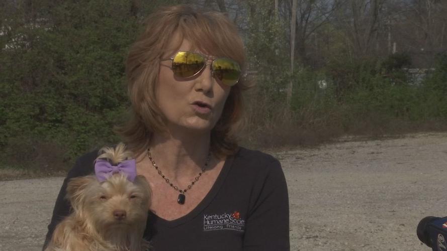 Karen Koenig, KHS' vice president of animal welfare