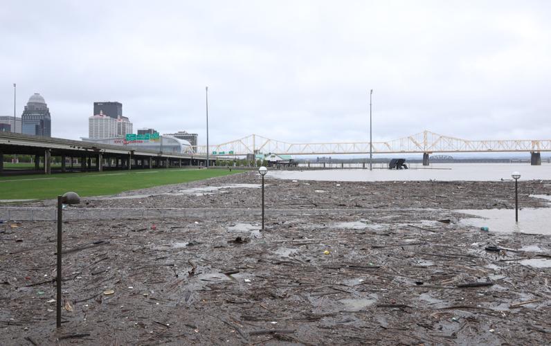 Great Lawn flooded in downtown - April 6.JPG