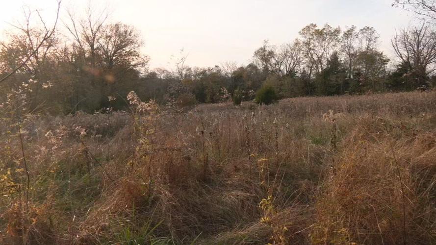 Clark Station Road development