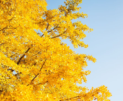 What to Expect in the Weather This Week