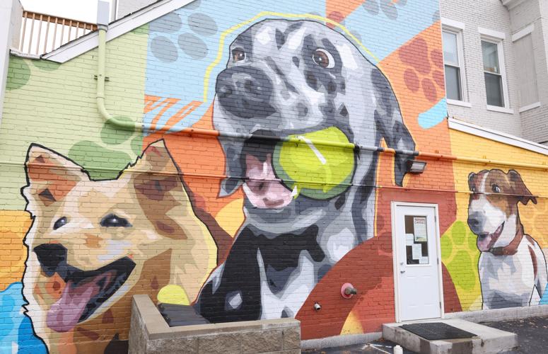 Dogs playing mural.JPG