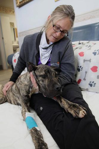 KY HUMANE - ETHAN RECOVERING  - 2-4-2021 5.jpg