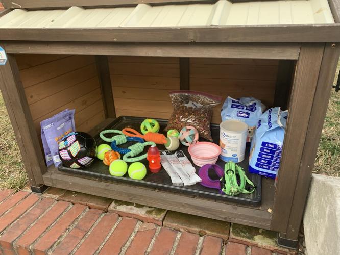 Toys and treats in Little Dog Library