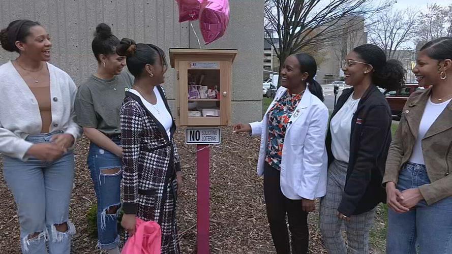 Feminine Hygiene Community Boxes in LouMed district