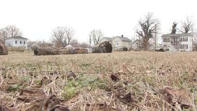 Crews Clearing Vacant Portland Lot For Affordable Housing Complex