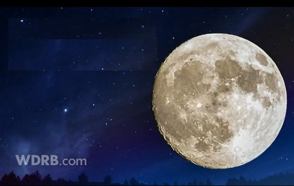 moon cover.PNG