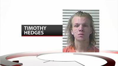 Timothy Hedges