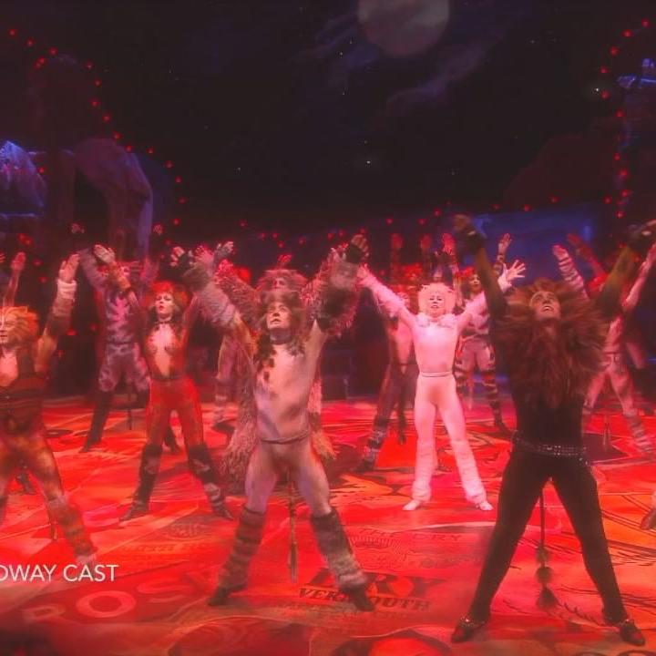 CATS: The Musical' Louisville Broadway review: Great songs, costumes