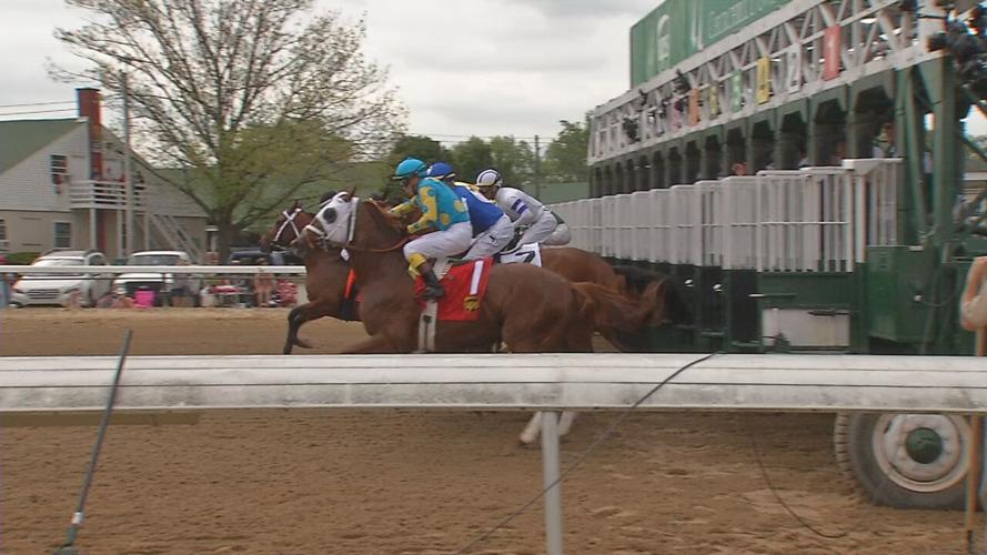 through the eyes of a horse 2