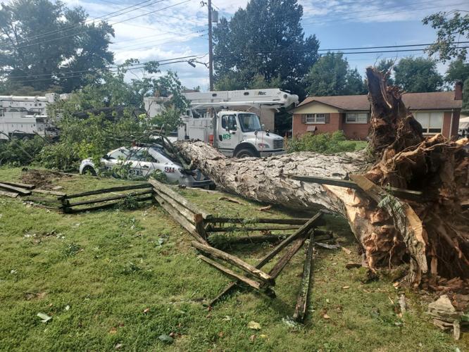 LMPD car damage 3.jpg