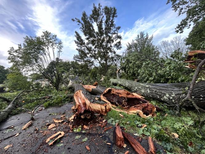 Storm damage on Kings Highway 2.jpg