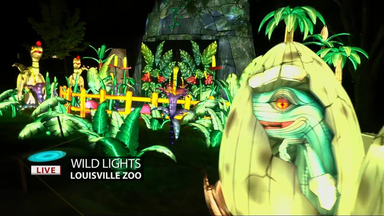 Keith Kaiser visits the prehistoric area of the Wild Lights at the