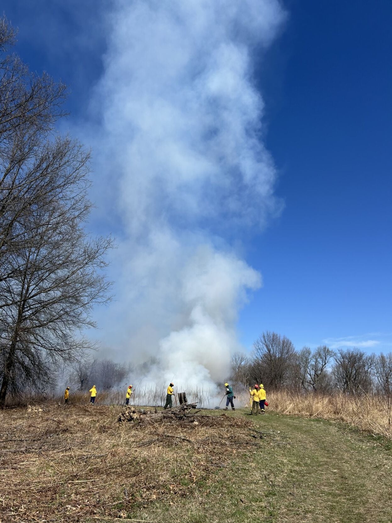 Iroquois Park Controlled Burn