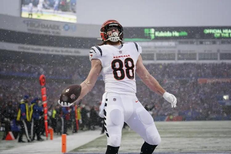 Bengals tight end.jpg