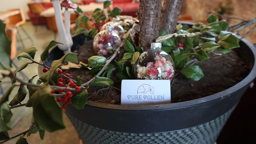 Pure Pollen at Epiphany