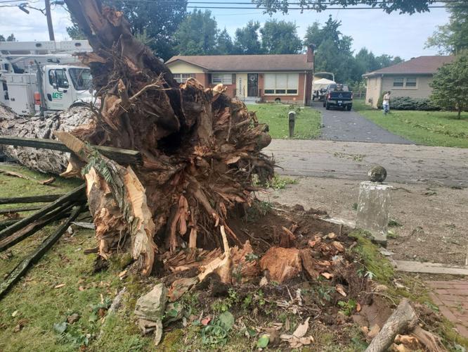 LMPD car damage 2.jpg