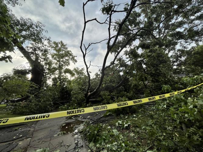 Storm damage on Kings Highway.jpg