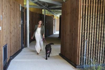 Italy Airport Dog Hotel
