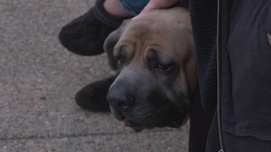 RAW CK DOGGIE LIBRARY concatenated 183432_frame_119167.jpeg