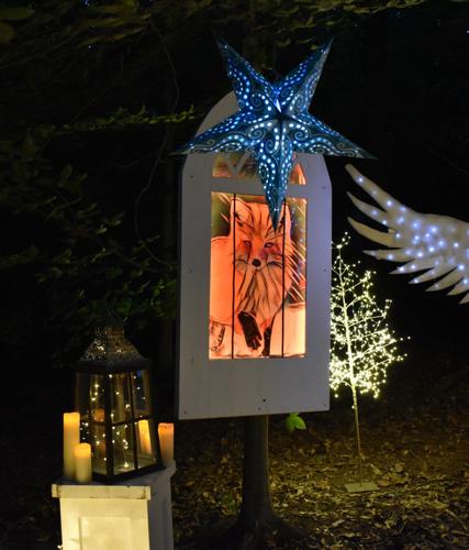 WINTER WOODS SPECTACULAR - COURTESY LOUISVILLE PARKS FOUNDATION 3.jpg