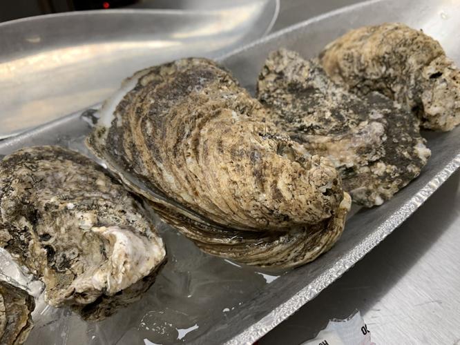 TASTE OF SOUTHERN INDIANA - KEITH KAISER - 7-22-19  (9).jpg