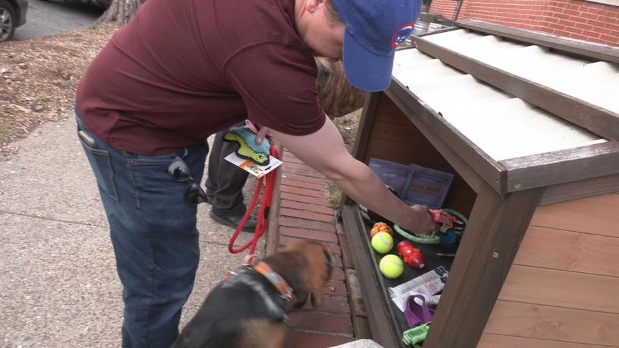 Little Dog Library' in Highlands supporting dogs, creating sense of  community, News