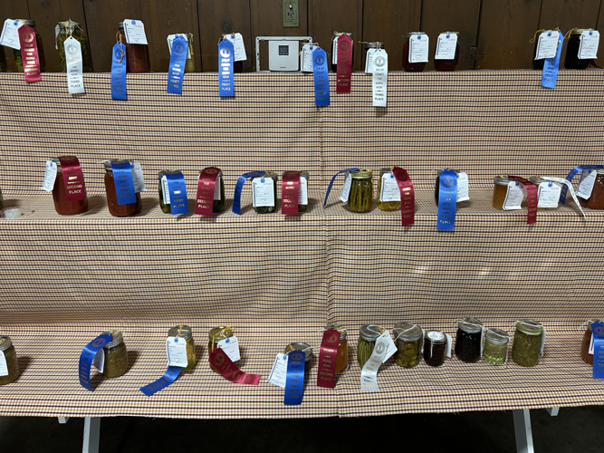 Shelby County Fair Commodity Winners