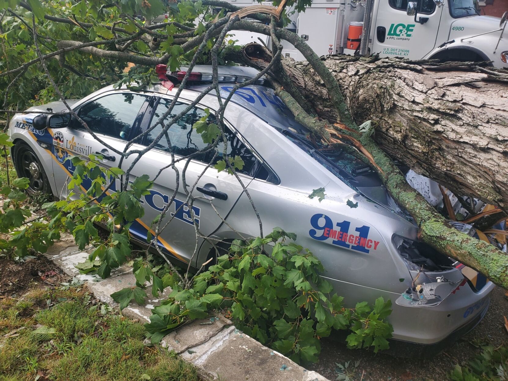 Louisville police cruiser hit by tree during Friday storms while