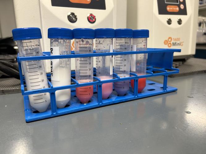 KCA Laboratories 7